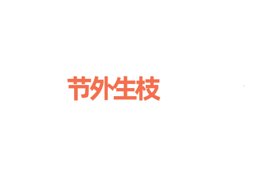 节外生枝